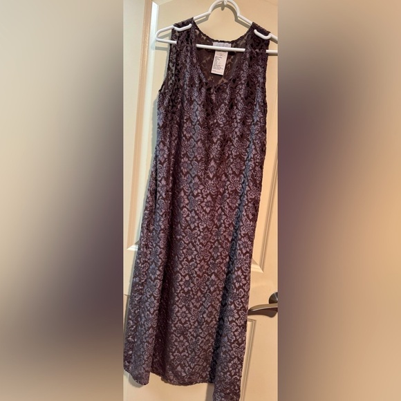 Elegant Lace Sleeveless Dress - Picture 1 of 4